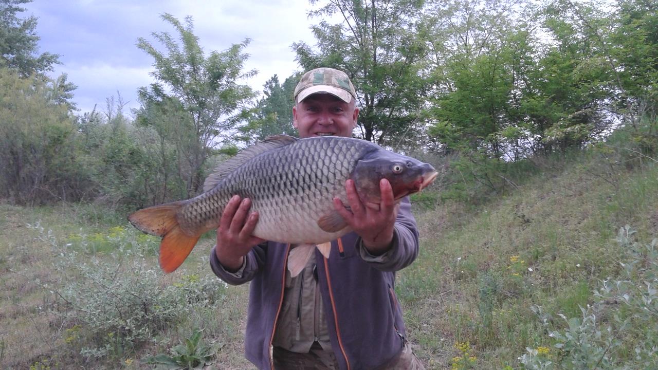 o partida reusita ! - o piesa deosebita !!!!!